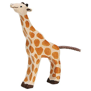 Giraffe, small, feeding