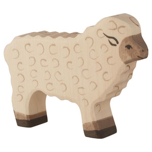 Sheep, standing, white